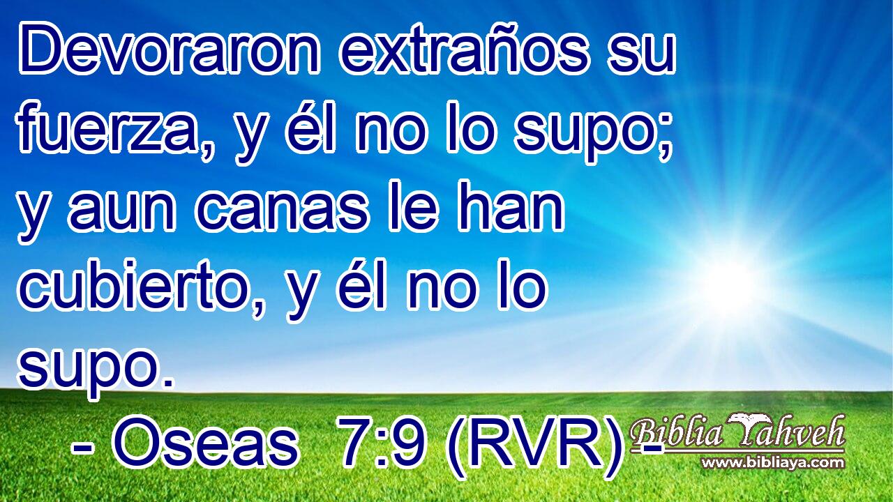 Devoraron extraños su fuerza, y él no lo supo; y aun canas le han cubierto, y él no lo supo.