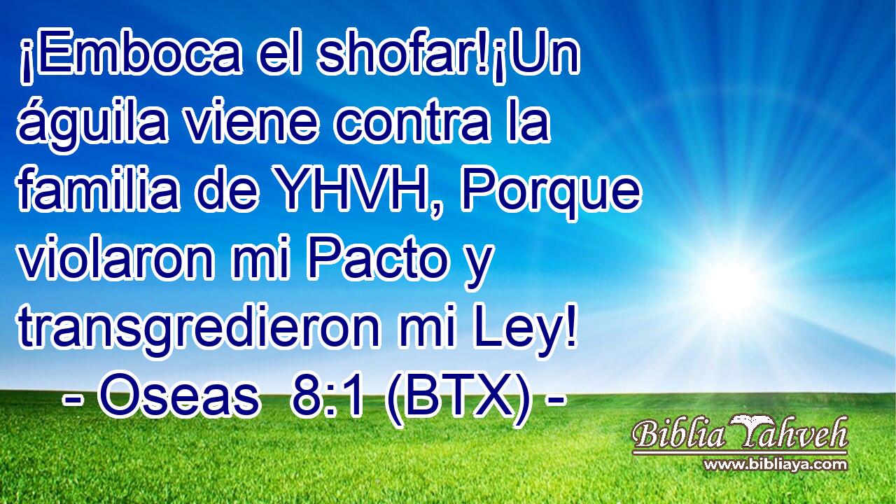 ¡Emboca el shofar!¡Un águila viene contra la familia de YHVH, Porque violaron mi Pacto y transgredieron mi Ley!