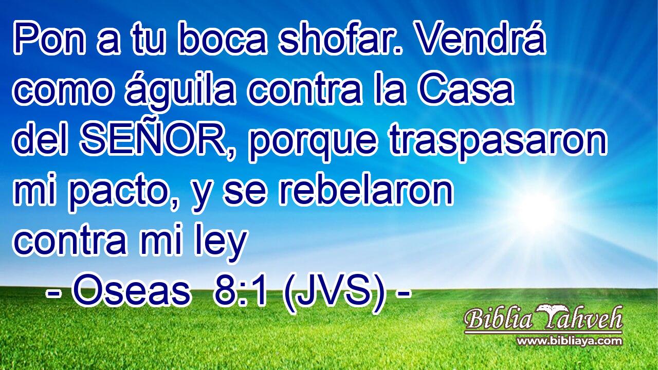 Pon a tu boca shofar. Vendrá como águila contra la Casa del SEÑOR, porque traspasaron mi pacto, y se rebelaron contra mi ley