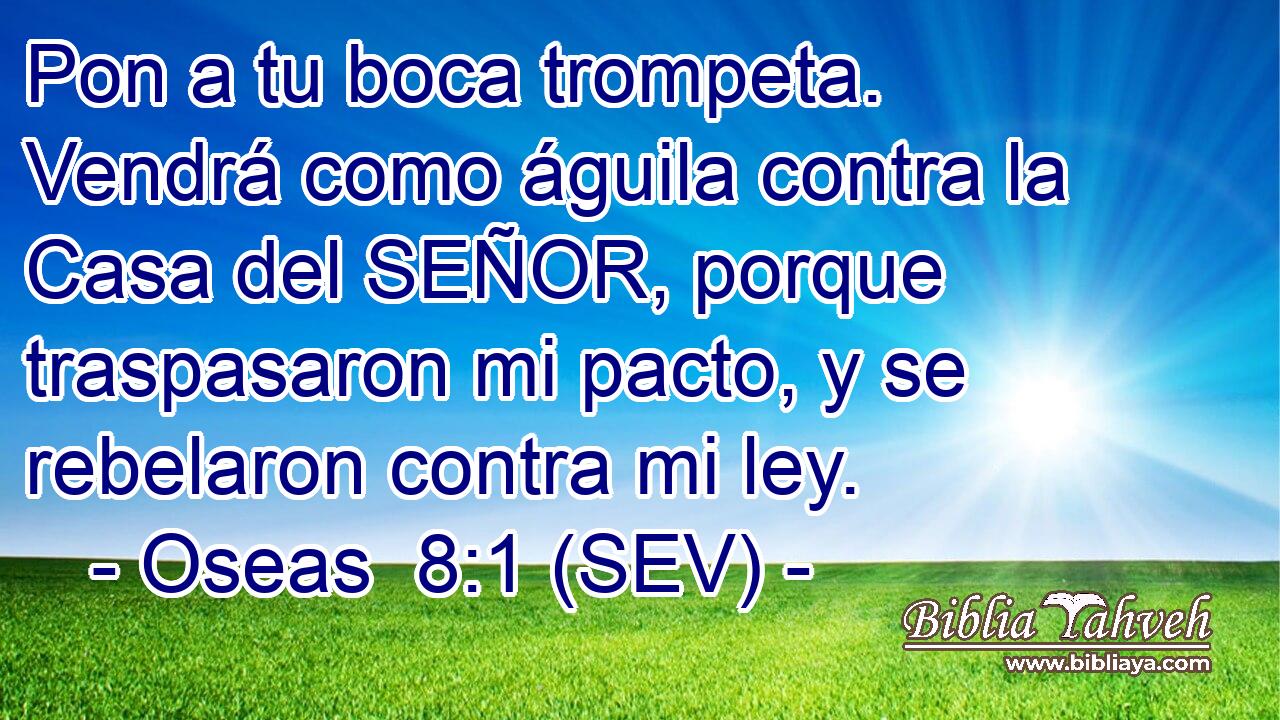 Pon a tu boca trompeta. Vendrá como águila contra la Casa del SEÑOR, porque traspasaron mi pacto, y se rebelaron contra mi ley.