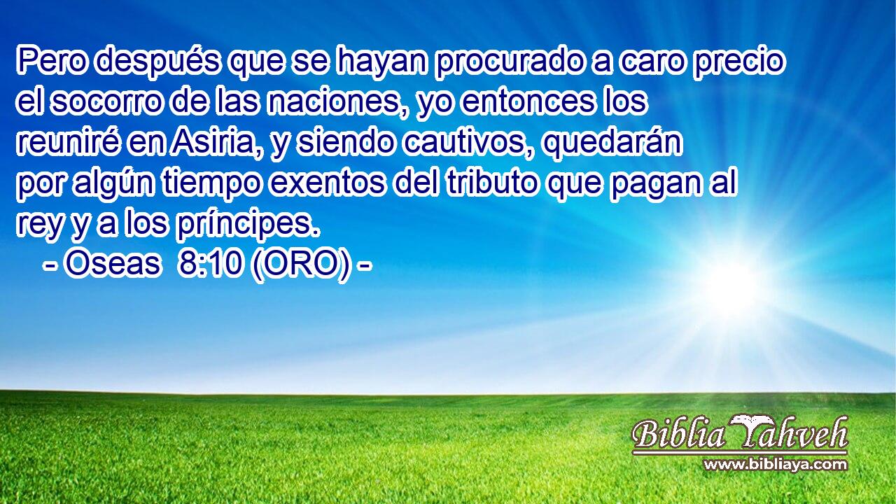  Pero después que se hayan procurado a caro precio el socorro de las naciones, yo entonces los reuniré en Asiria, y siendo cautivos, quedarán por algún tiempo exentos del tributo que pagan al rey y a los príncipes. 