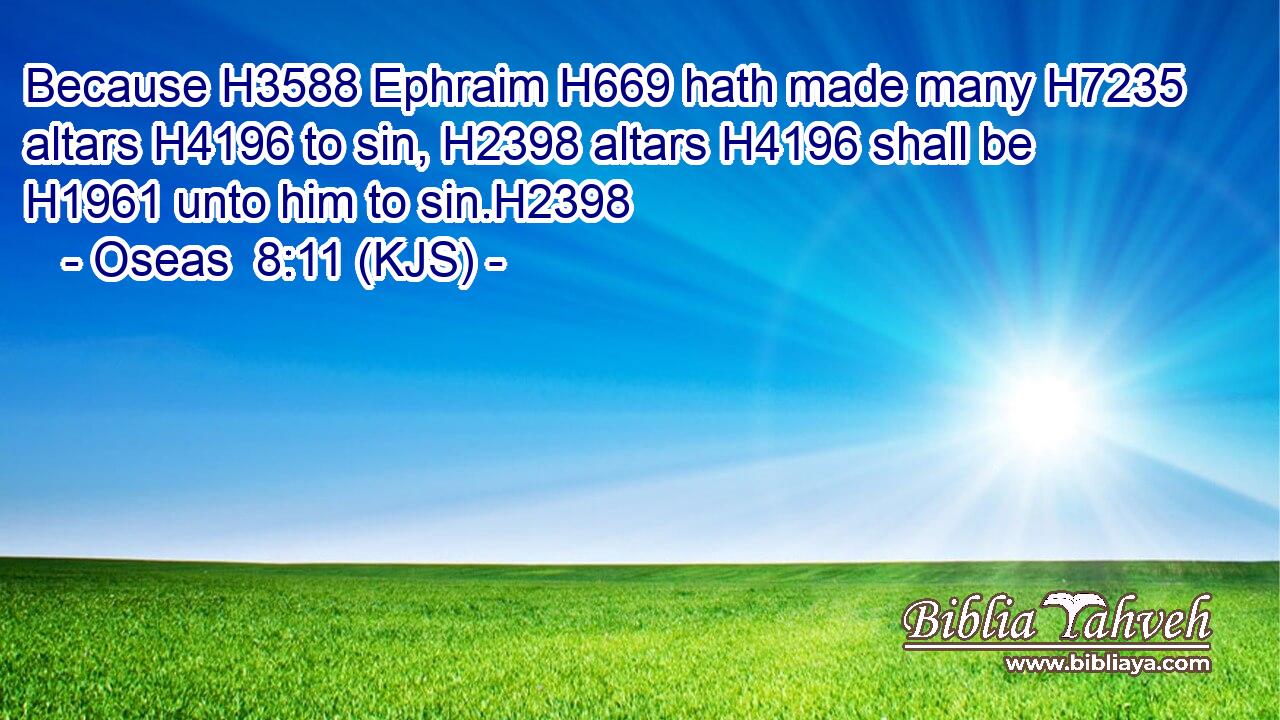 Because H3588 Ephraim H669 hath made many H7235 altars H4196 to sin, H2398 altars H4196 shall be H1961 unto him to sin.H2398