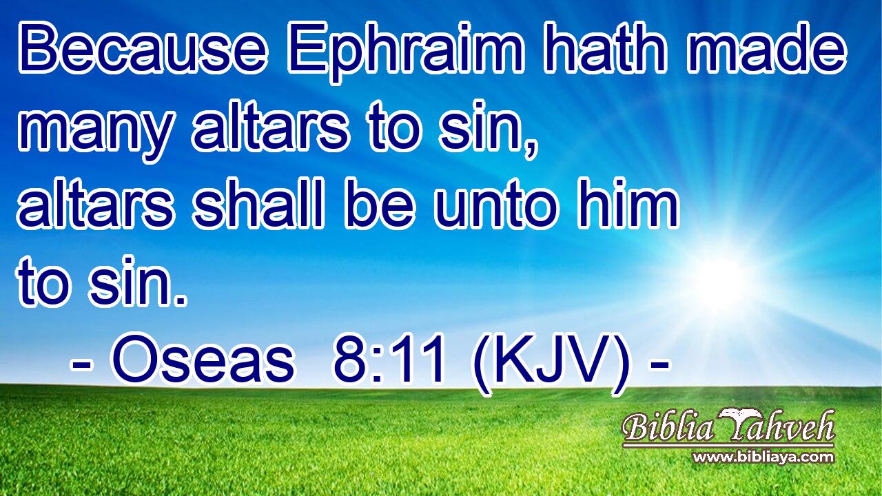 Because Ephraim hath made many altars to sin, altars shall be unto him to sin.