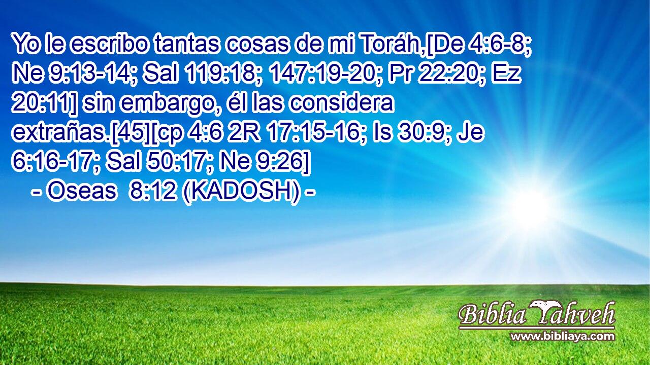  Yo le escribo tantas cosas de mi Toráh,[De 4:6-8; Ne 9:13-14; Sal 119:18; 147:19-20; Pr 22:20; Ez 20:11] sin embargo, él las considera extrañas.[45][cp 4:6 2R 17:15-16; Is 30:9; Je 6:16-17; Sal 50:17; Ne 9:26] 