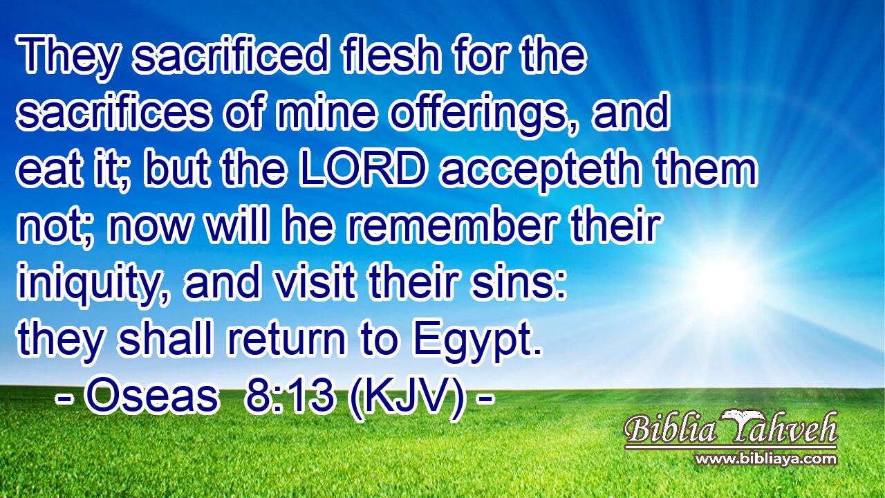 They sacrificed flesh for the sacrifices of mine offerings, and eat it; but the LORD accepteth them not; now will he remember their iniquity, and visit their sins: they shall return to Egypt.