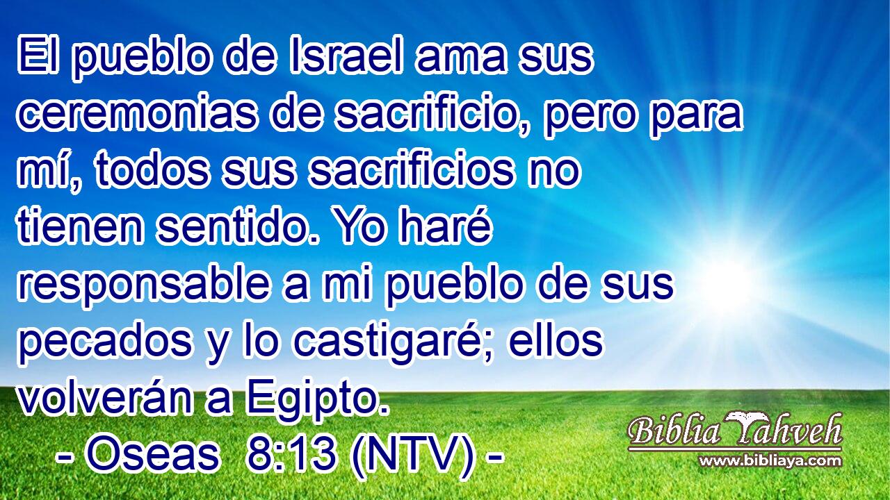 El pueblo de Israel ama sus ceremonias de sacrificio, pero para mí, todos sus sacrificios no tienen sentido. Yo haré responsable a mi pueblo de sus pecados y lo castigaré; ellos volverán a Egipto.