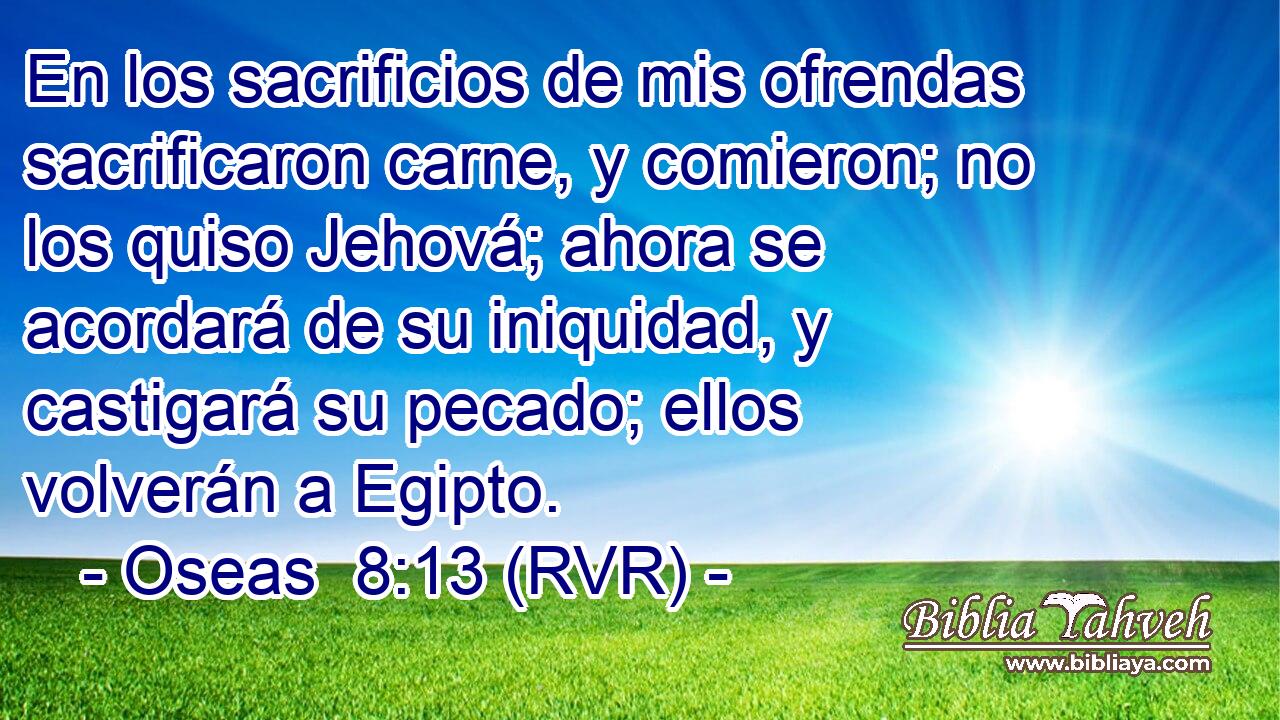 En los sacrificios de mis ofrendas sacrificaron carne, y comieron; no los quiso Jehová; ahora se acordará de su iniquidad, y castigará su pecado; ellos volverán a Egipto.