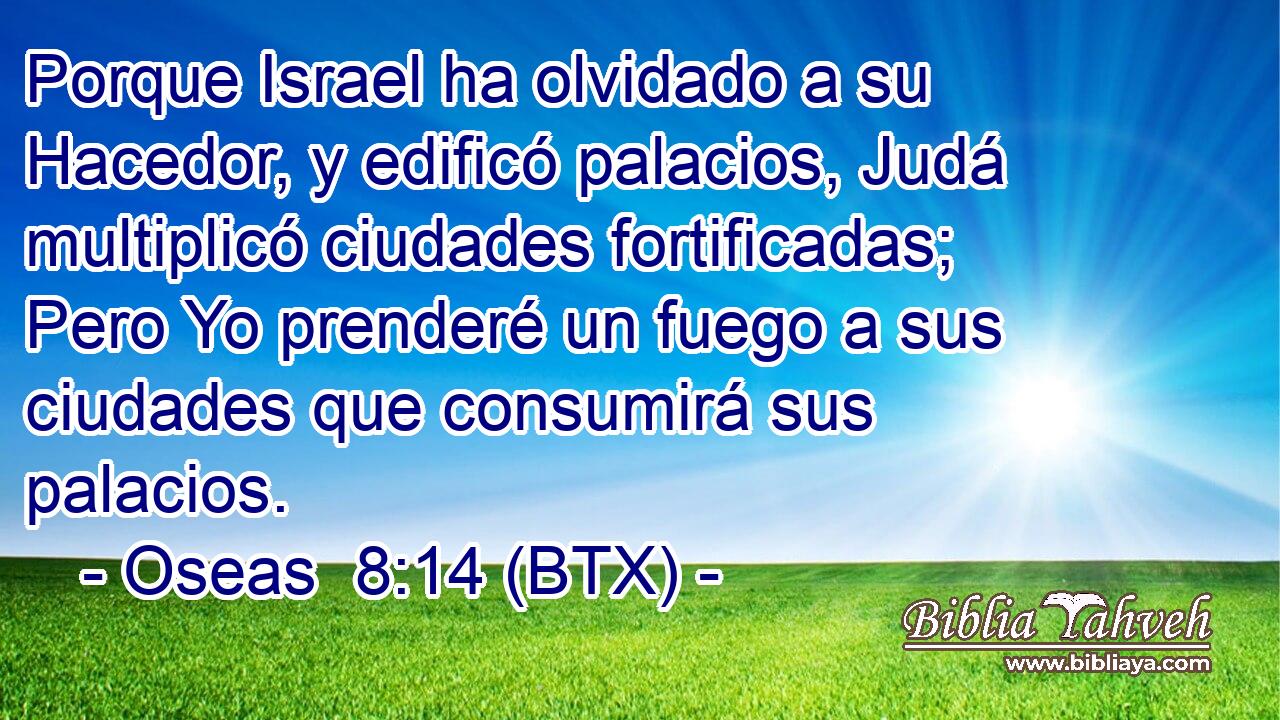 Porque Israel ha olvidado a su Hacedor, y edificó palacios, Judá multiplicó ciudades fortificadas; Pero Yo prenderé un fuego a sus ciudades que consumirá sus palacios.