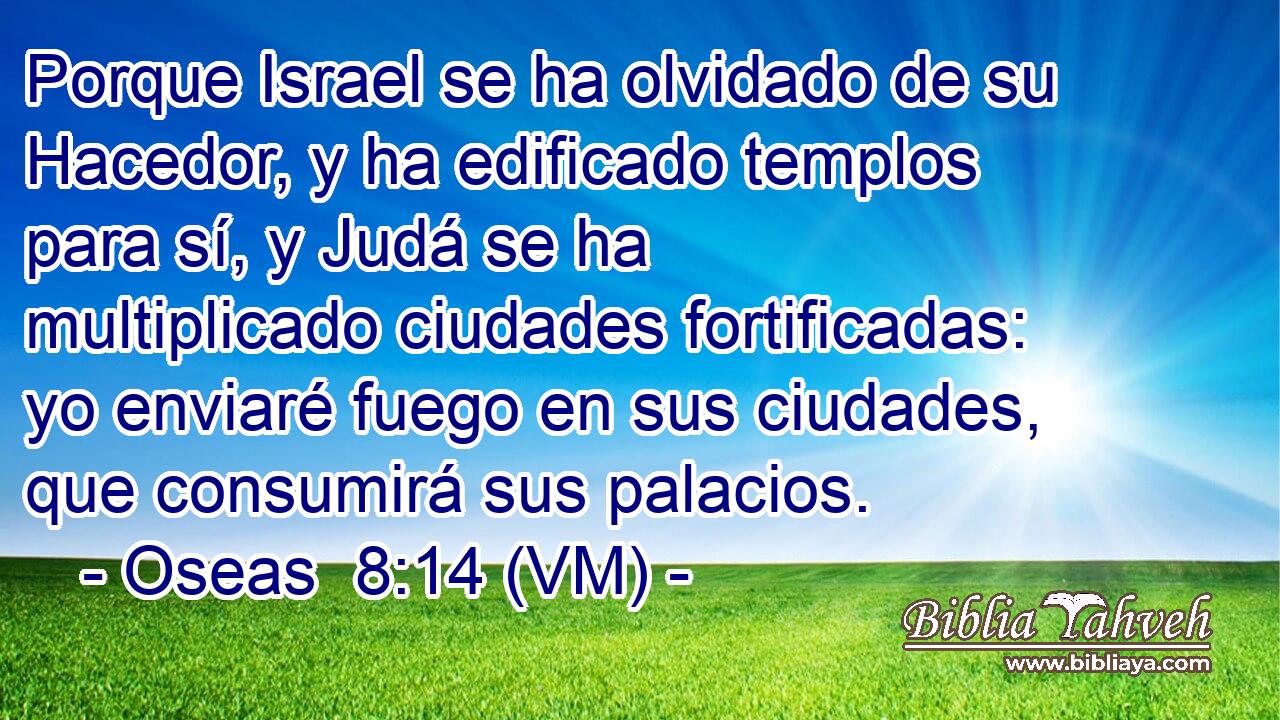  Porque Israel se ha olvidado de su Hacedor, y ha edificado templos para sí, y Judá se ha multiplicado ciudades fortificadas: yo enviaré fuego en sus ciudades, que consumirá sus palacios. 