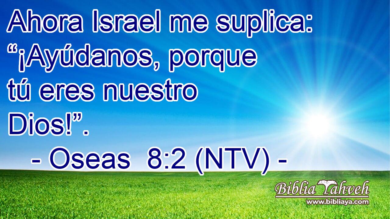 Ahora Israel me suplica: “¡Ayúdanos, porque tú eres nuestro Dios!”.