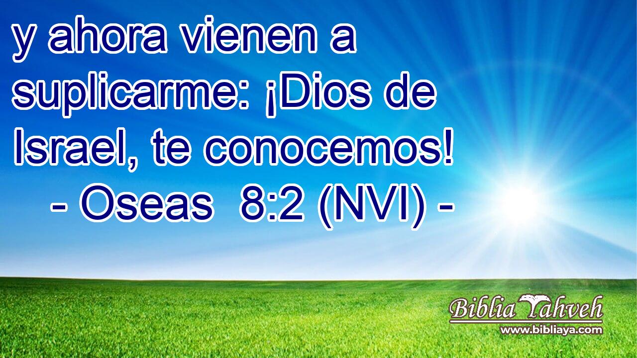  y ahora vienen a suplicarme: ¡Dios de Israel, te conocemos! 