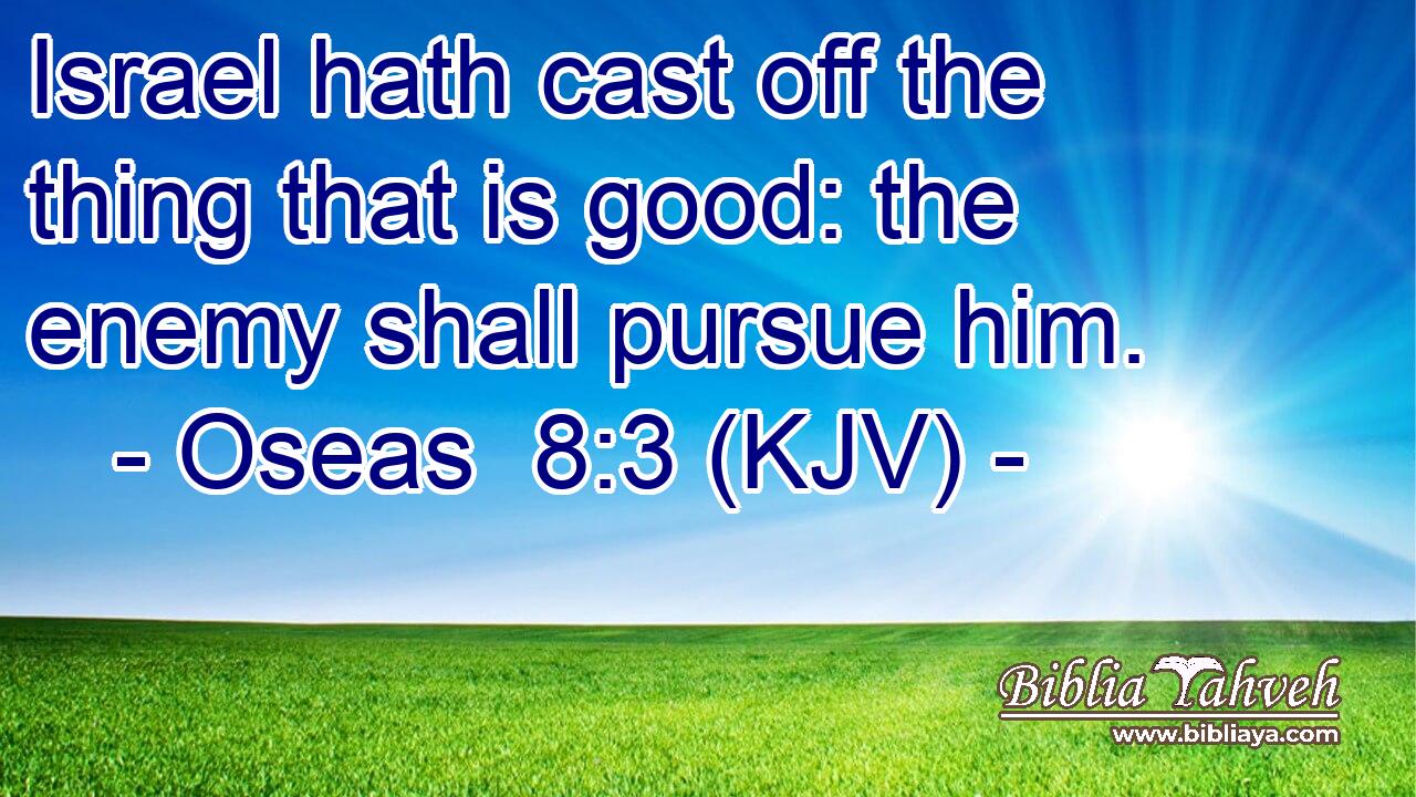 Israel hath cast off the thing that is good: the enemy shall pursue him.
