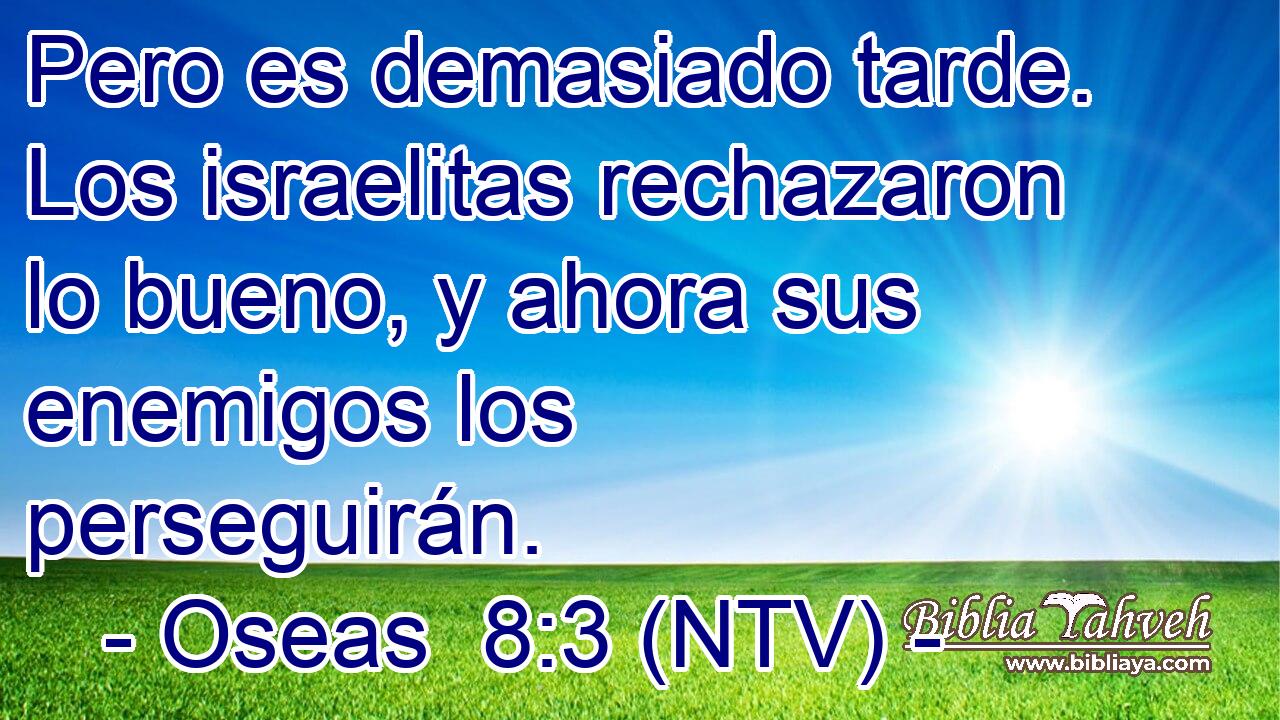 Pero es demasiado tarde. Los israelitas rechazaron lo bueno, y ahora sus enemigos los perseguirán.