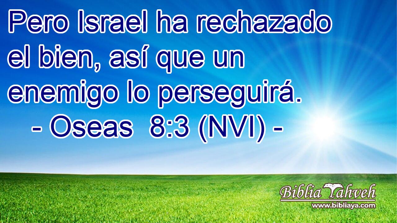  Pero Israel ha rechazado el bien, así que un enemigo lo perseguirá. 