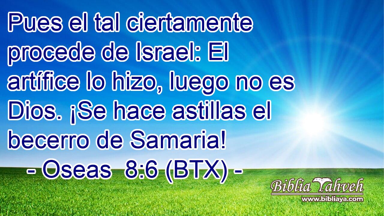 Pues el tal ciertamente procede de Israel: El artífice lo hizo, luego no es Dios. ¡Se hace astillas el becerro de Samaria!