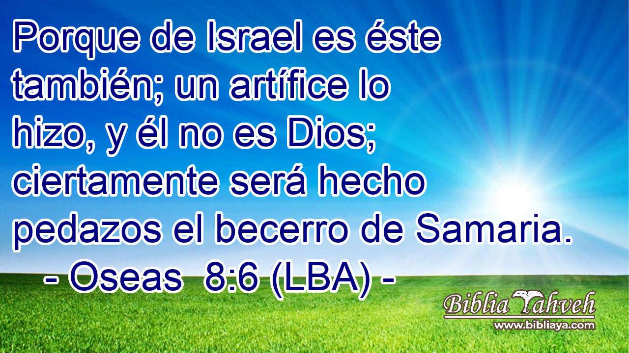 Porque de Israel es éste también; un artífice lo hizo, y él no es Dios; ciertamente será hecho pedazos el becerro de Samaria.
