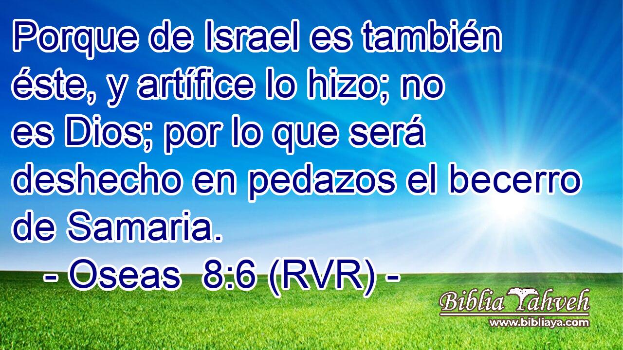 Porque de Israel es también éste, y artífice lo hizo; no es Dios; por lo que será deshecho en pedazos el becerro de Samaria.