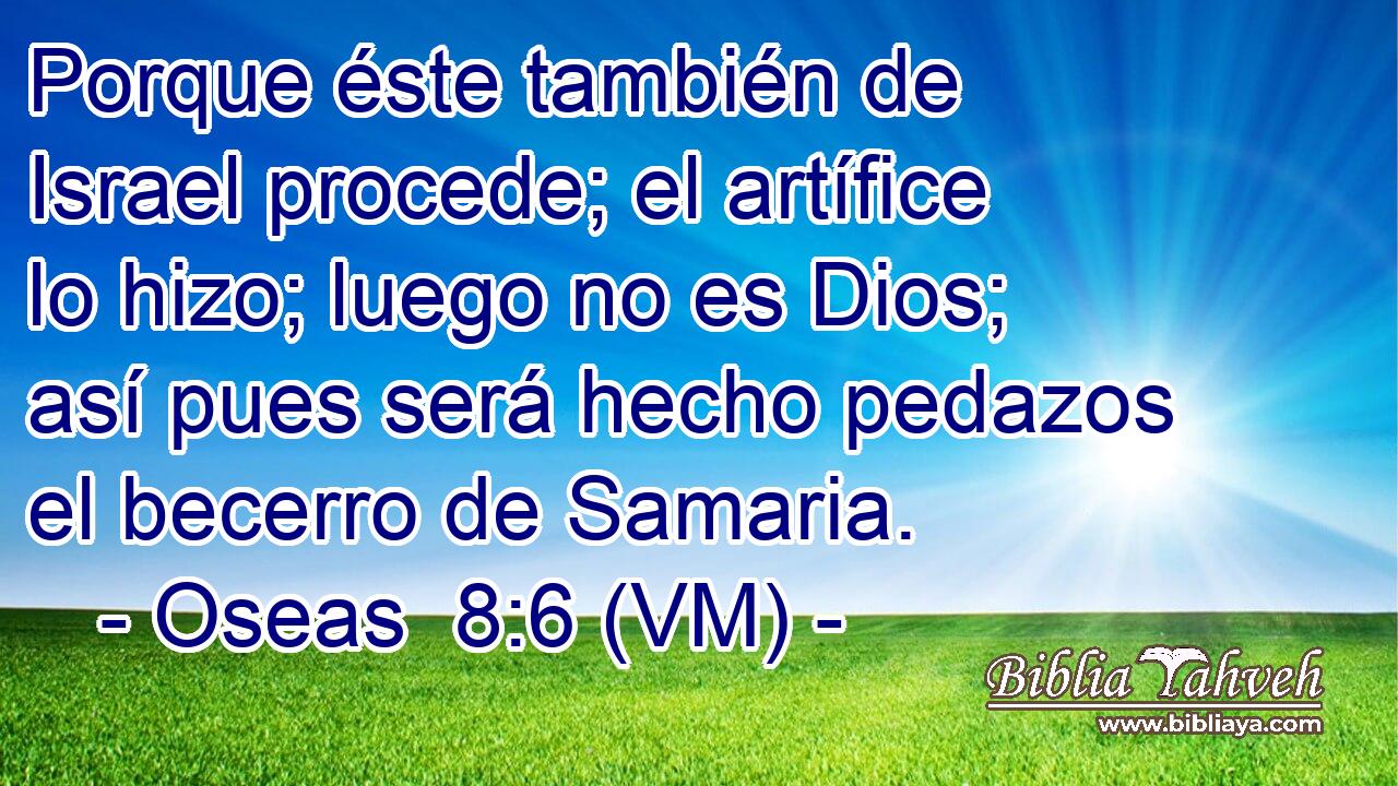  Porque éste también de Israel procede; el artífice lo hizo; luego no es Dios; así pues será hecho pedazos el becerro de Samaria. 
