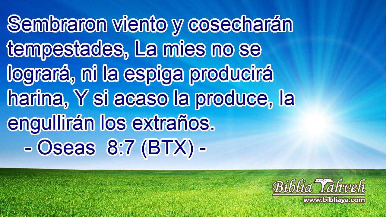 Sembraron viento y cosecharán tempestades, La mies no se logrará, ni la espiga producirá harina, Y si acaso la produce, la engullirán los extraños.