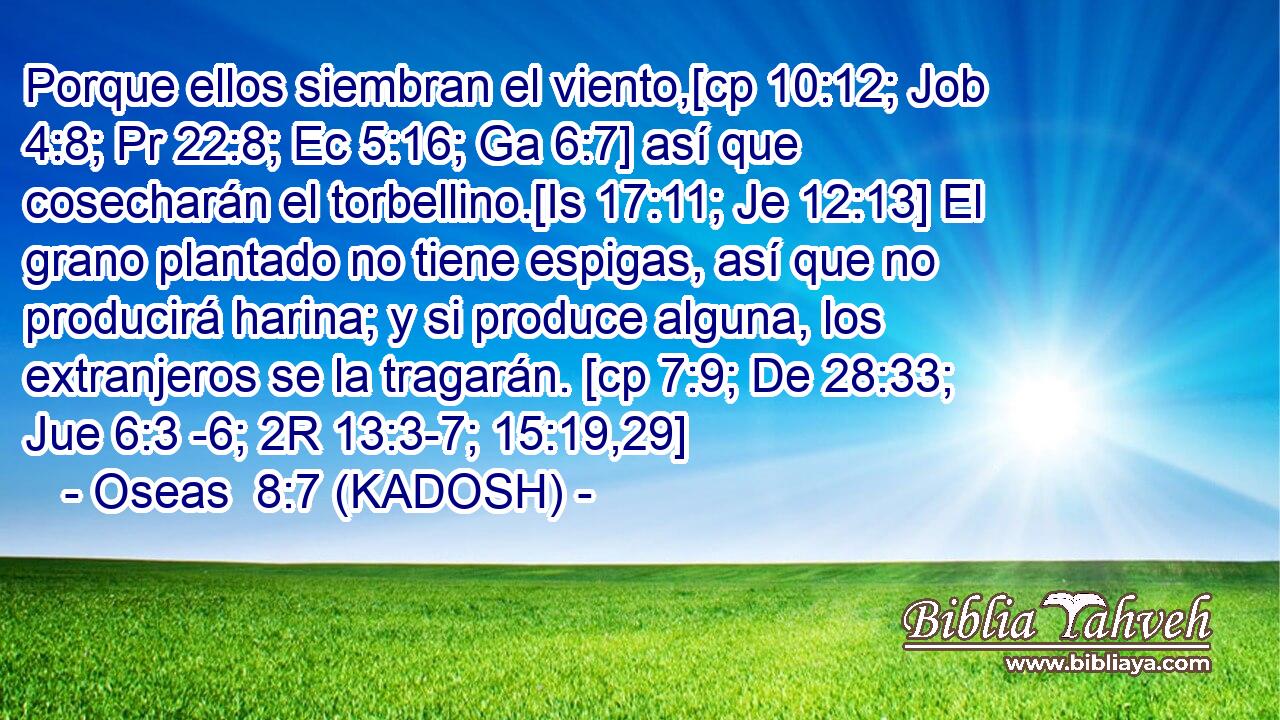  Porque ellos siembran el viento,[cp 10:12; Job 4:8; Pr 22:8; Ec 5:16; Ga 6:7] así que cosecharán el torbellino.[Is 17:11; Je 12:13] El grano plantado no tiene espigas, así que no producirá harina; y si produce alguna, los extranjeros se la tragarán. [cp 7:9; De 28:33; Jue 6:3 -6; 2R 13:3-7; 15:19,29] 