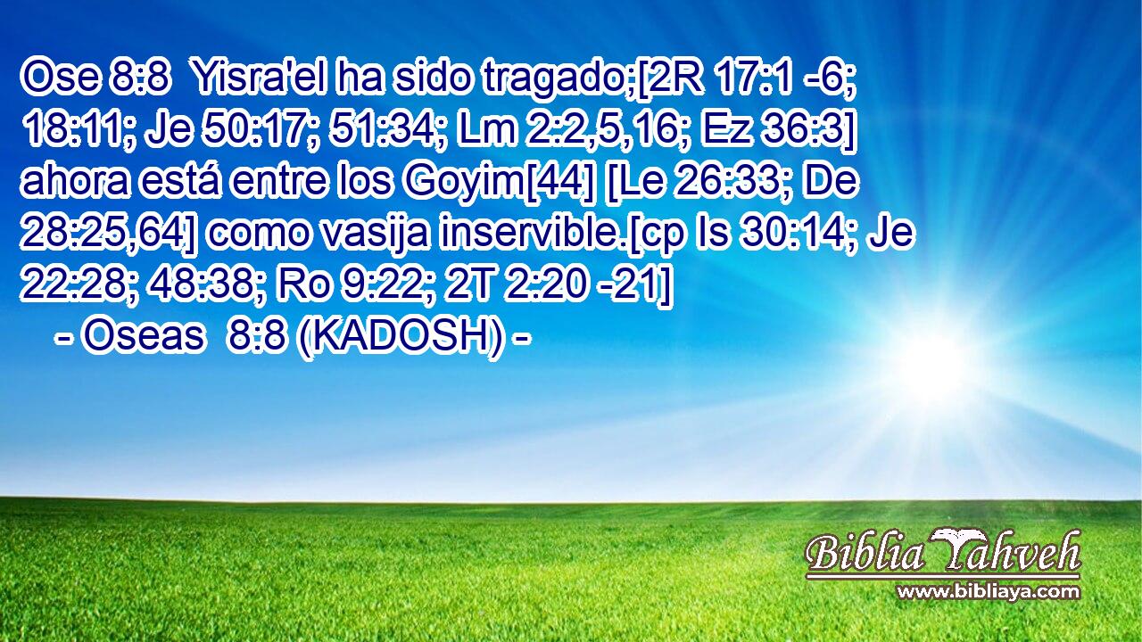  Yisra'el ha sido tragado;[2R 17:1 -6; 18:11; Je 50:17; 51:34; Lm 2:2,5,16; Ez 36:3] ahora está entre los Goyim[44] [Le 26:33; De 28:25,64] como vasija inservible.[cp Is 30:14; Je 22:28; 48:38; Ro 9:22; 2T 2:20 -21] 