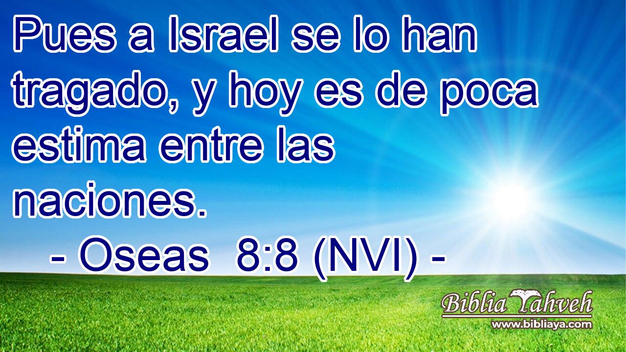 Pues a Israel se lo han tragado, y hoy es de poca estima entre las naciones. 