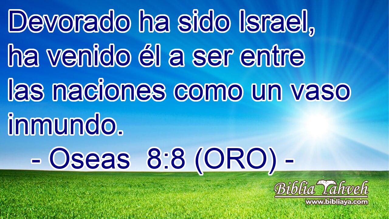  Devorado ha sido Israel, ha venido él a ser entre las naciones como un vaso inmundo. 