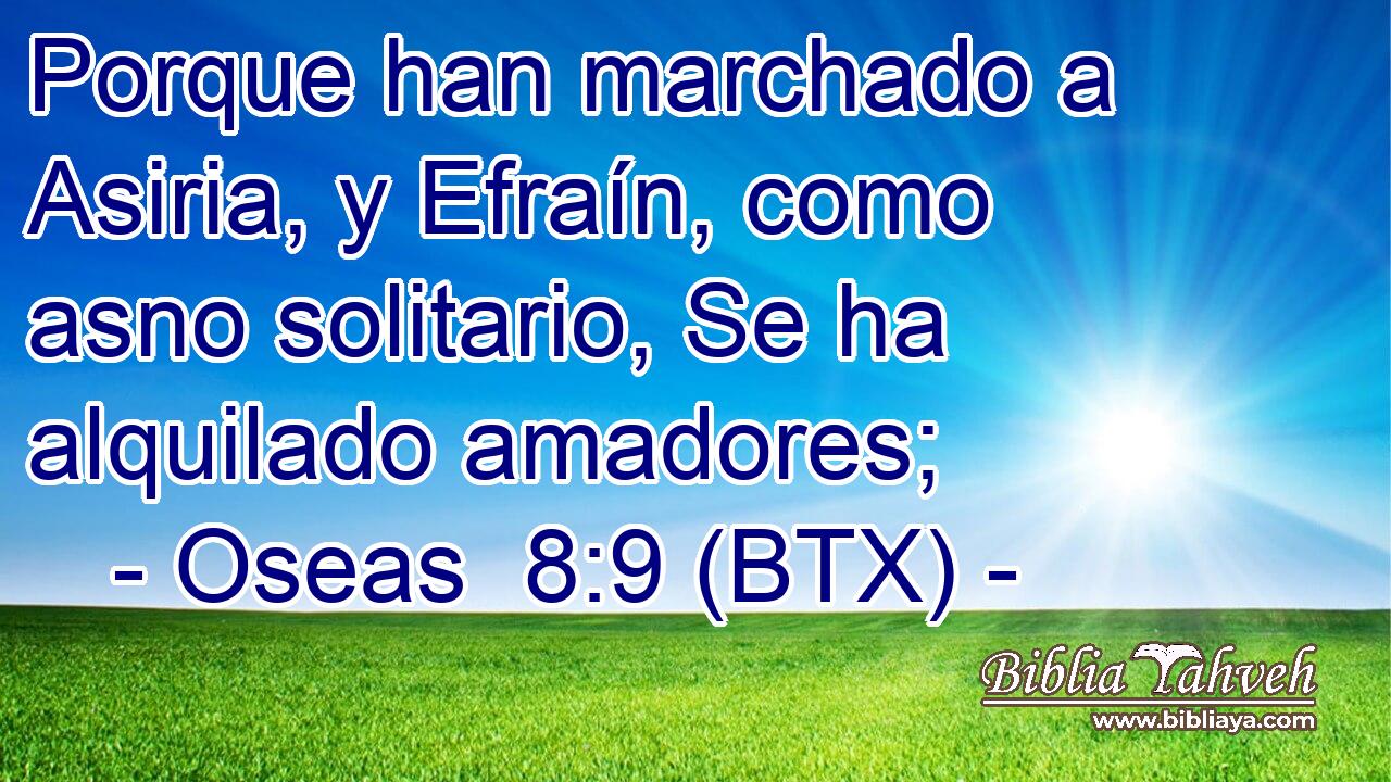 Porque han marchado a Asiria, y Efraín, como asno solitario, Se ha alquilado amadores;
