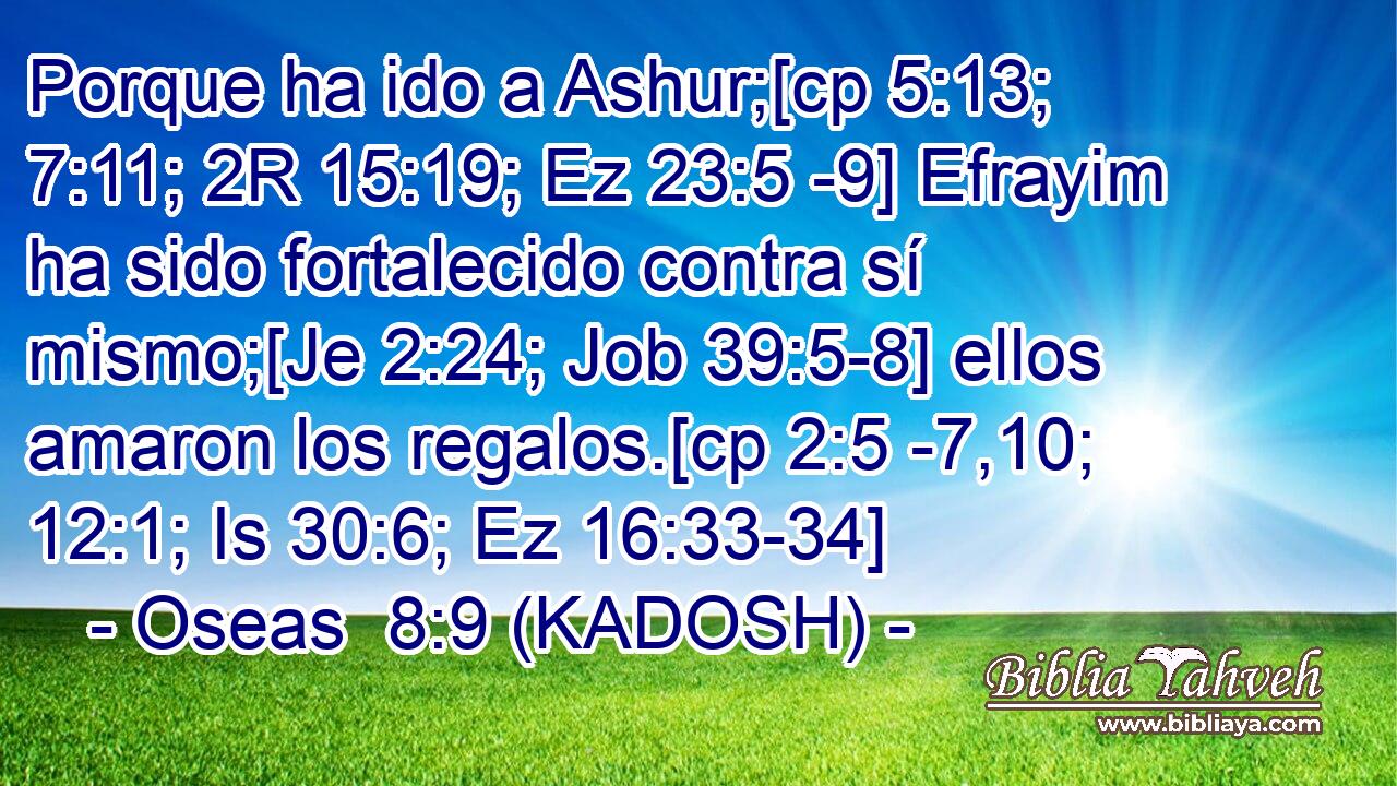  Porque ha ido a Ashur;[cp 5:13; 7:11; 2R 15:19; Ez 23:5 -9] Efrayim ha sido fortalecido contra sí mismo;[Je 2:24; Job 39:5-8] ellos amaron los regalos.[cp 2:5 -7,10; 12:1; Is 30:6; Ez 16:33-34] 