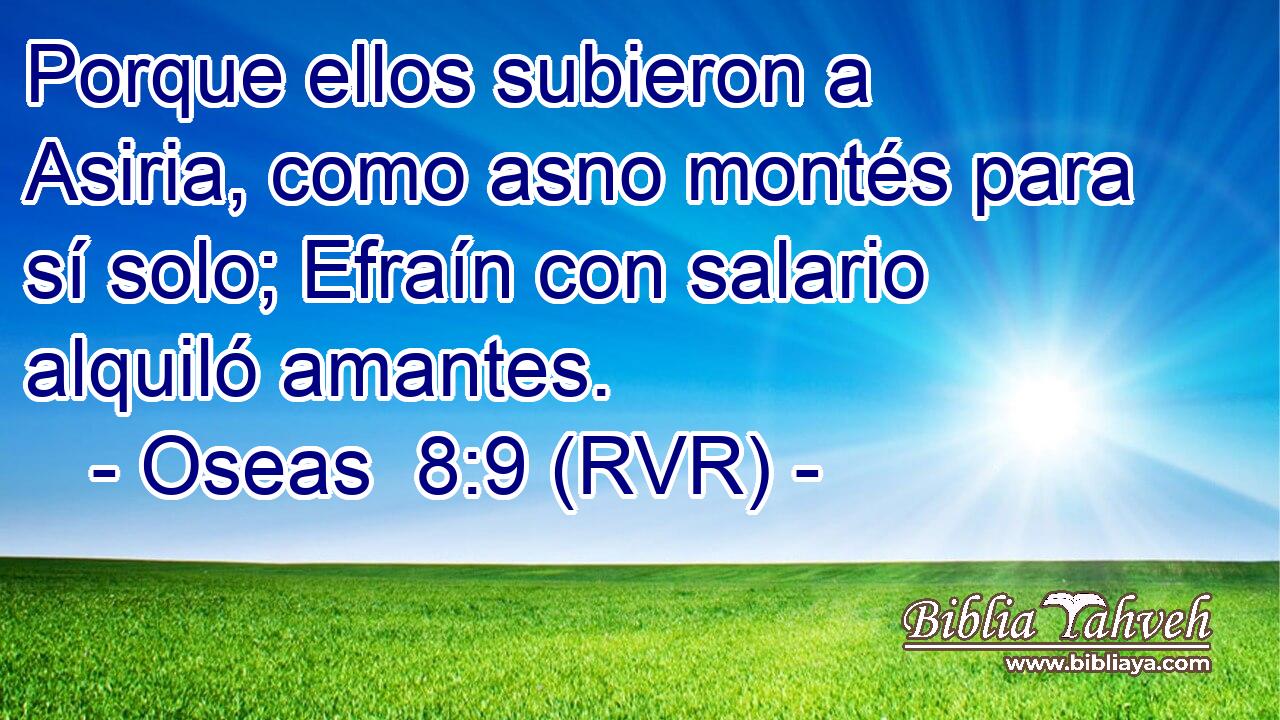Porque ellos subieron a Asiria, como asno montés para sí solo; Efraín con salario alquiló amantes.