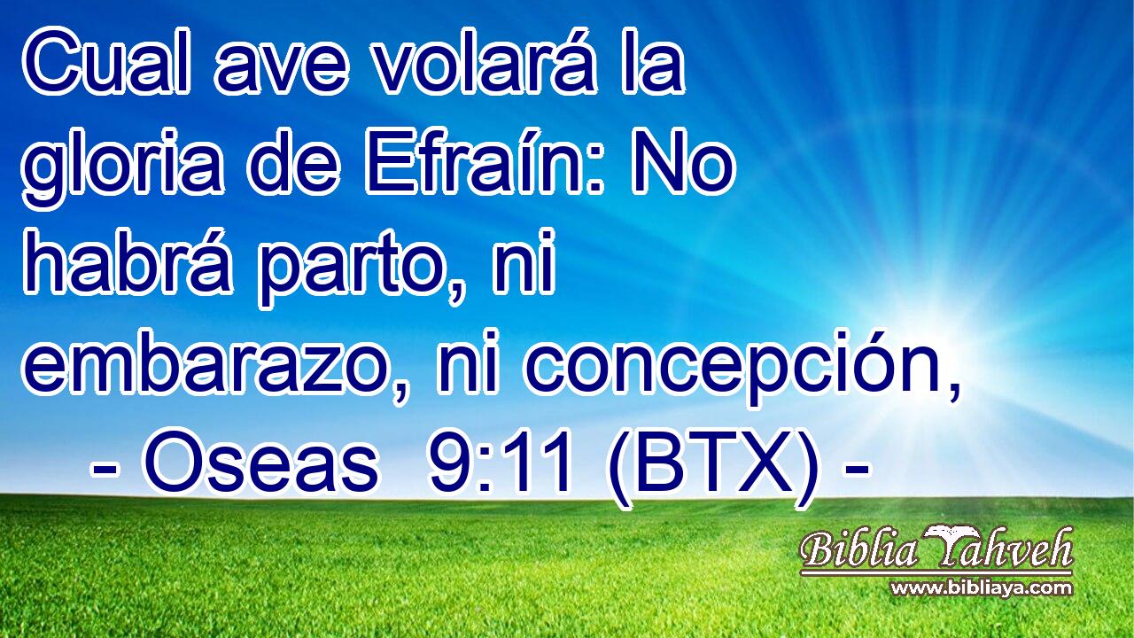 Cual ave volará la gloria de Efraín: No habrá parto, ni embarazo, ni concepción,