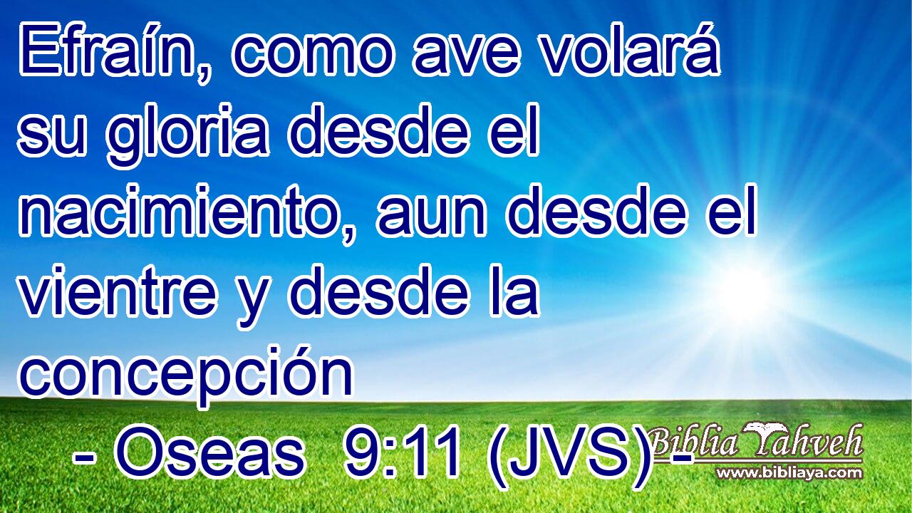 Efraín, como ave volará su gloria desde el nacimiento, aun desde el vientre y desde la concepción
