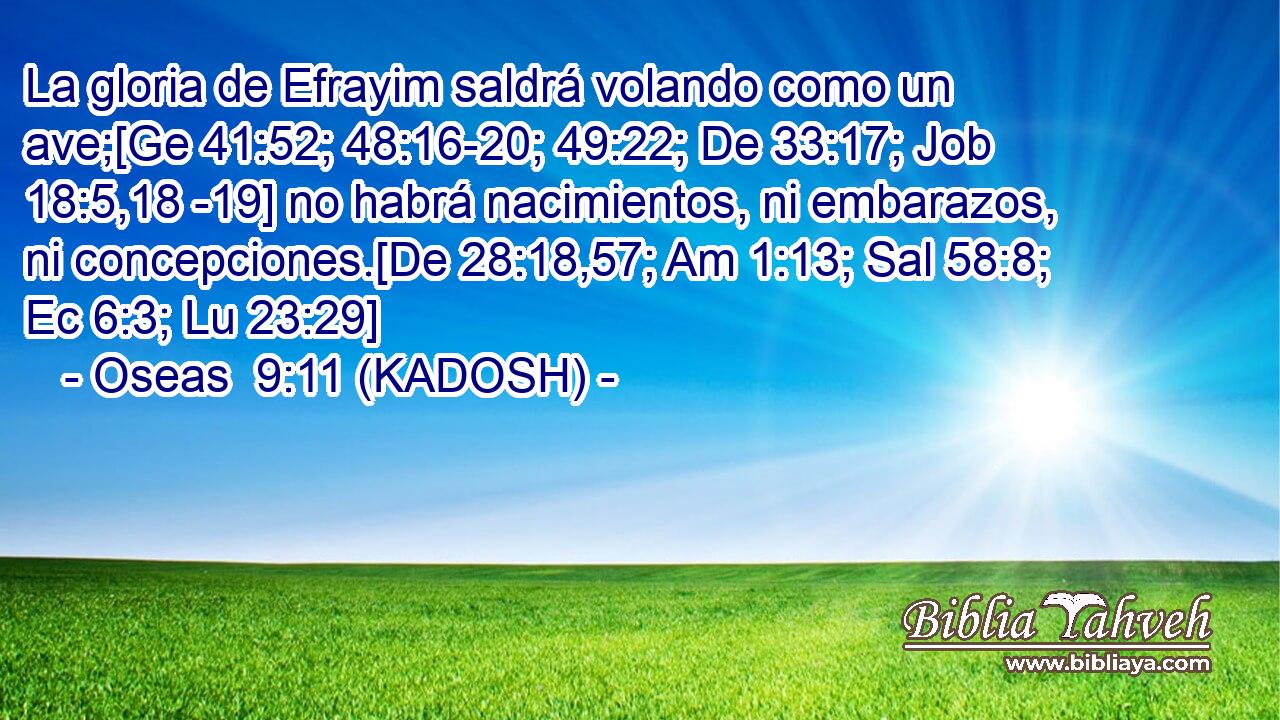  La gloria de Efrayim saldrá volando como un ave;[Ge 41:52; 48:16-20; 49:22; De 33:17; Job 18:5,18 -19] no habrá nacimientos, ni embarazos, ni concepciones.[De 28:18,57; Am 1:13; Sal 58:8; Ec 6:3; Lu 23:29] 