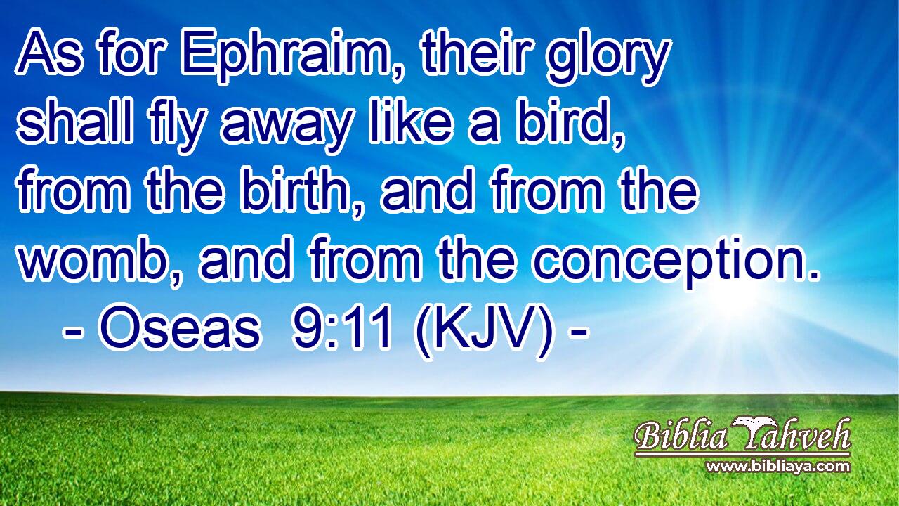 As for Ephraim, their glory shall fly away like a bird, from the birth, and from the womb, and from the conception.