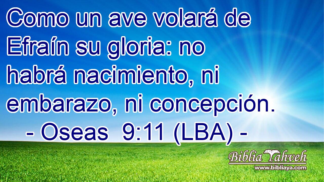 Como un ave volará de Efraín su gloria: no habrá nacimiento, ni embarazo, ni concepción.
