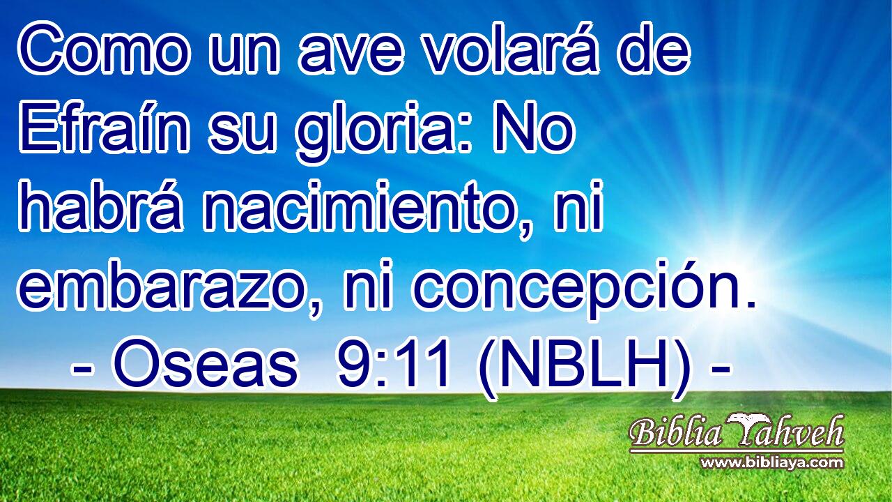  Como un ave volará de Efraín su gloria: No habrá nacimiento, ni embarazo, ni concepción. 