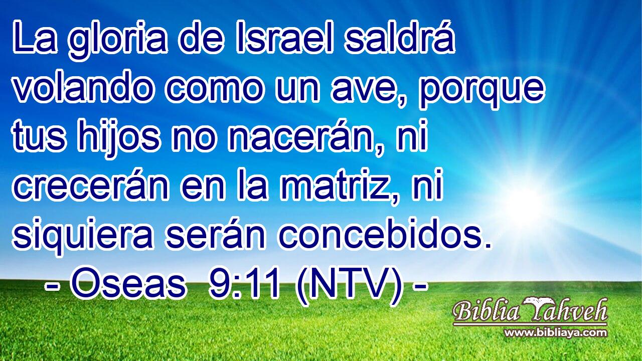 La gloria de Israel saldrá volando como un ave, porque tus hijos no nacerán, ni crecerán en la matriz, ni siquiera serán concebidos.