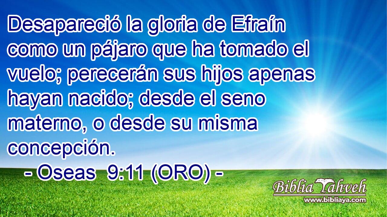  Desapareció la gloria de Efraín como un pájaro que ha tomado el vuelo; perecerán sus hijos apenas hayan nacido; desde el seno materno, o desde su misma concepción. 