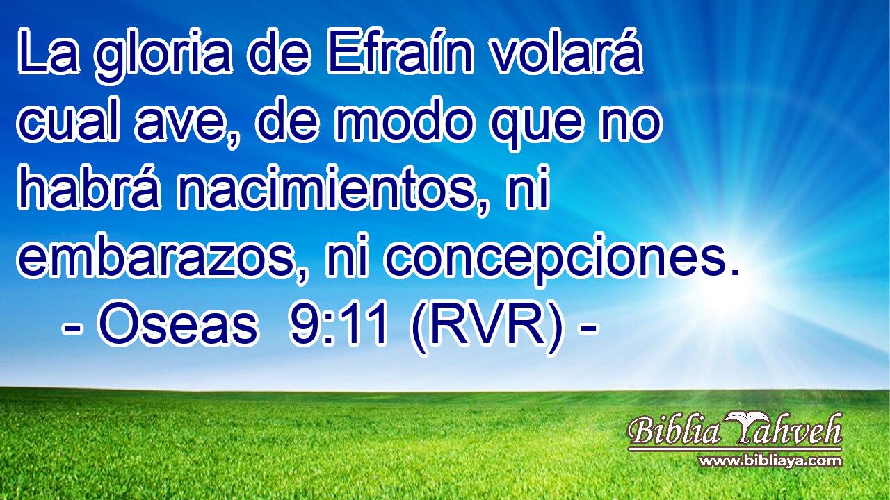 La gloria de Efraín volará cual ave, de modo que no habrá nacimientos, ni embarazos, ni concepciones.