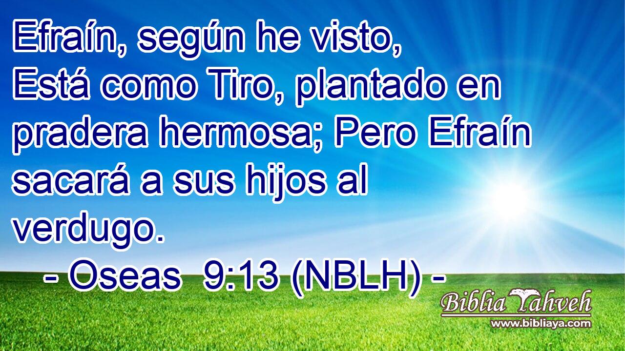  Efraín, según he visto, Está como Tiro, plantado en pradera hermosa; Pero Efraín sacará a sus hijos al verdugo. 
