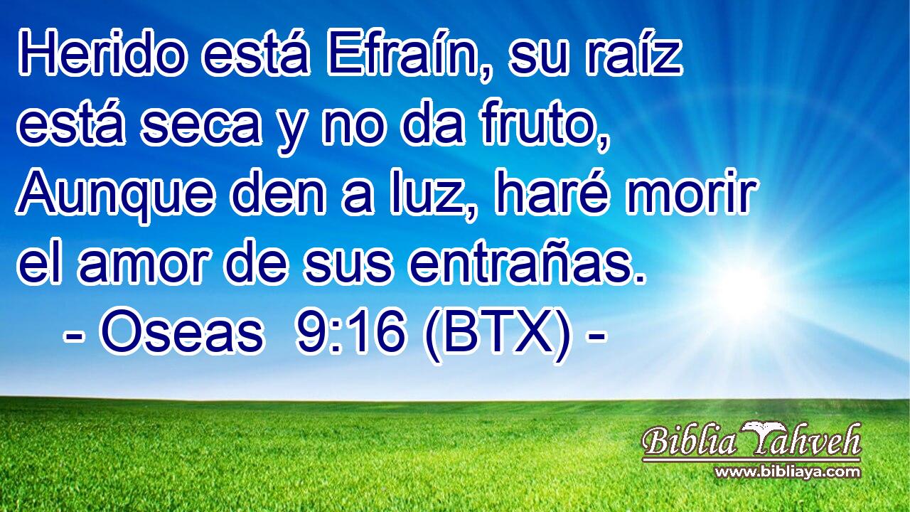 Herido está Efraín, su raíz está seca y no da fruto, Aunque den a luz, haré morir el amor de sus entrañas.