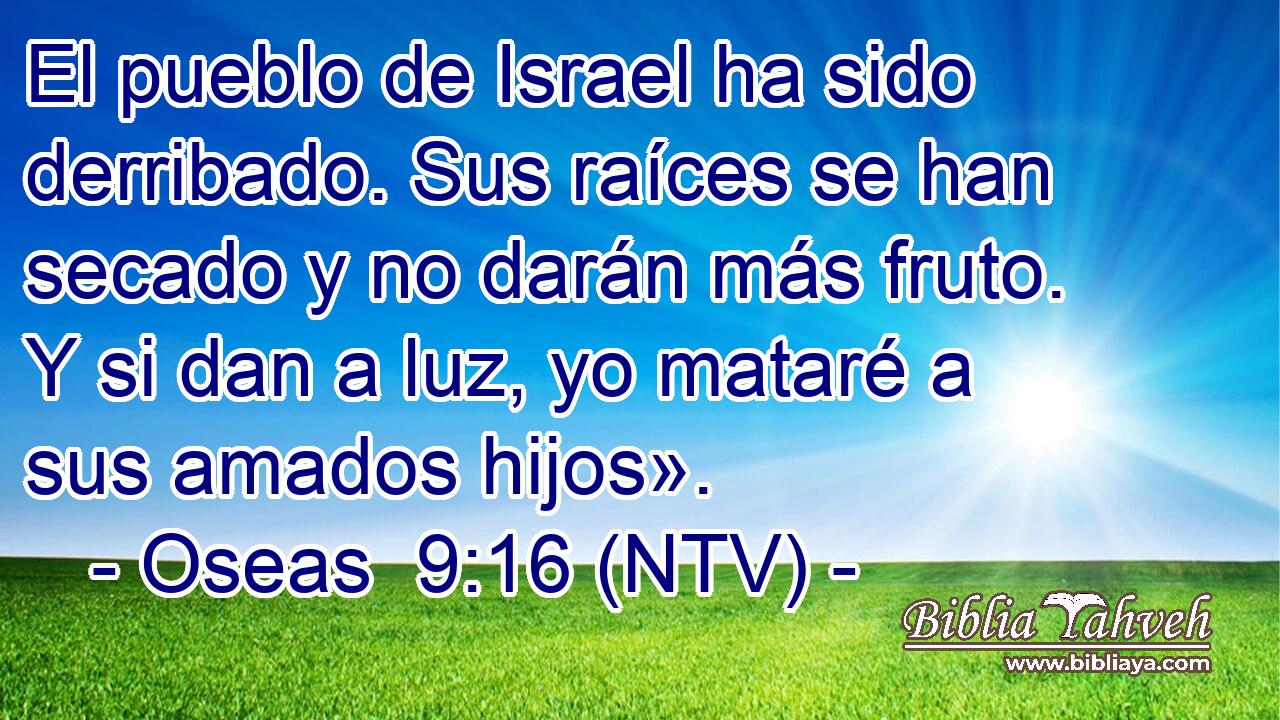 El pueblo de Israel ha sido derribado. Sus raíces se han secado y no darán más fruto. Y si dan a luz, yo mataré a sus amados hijos».