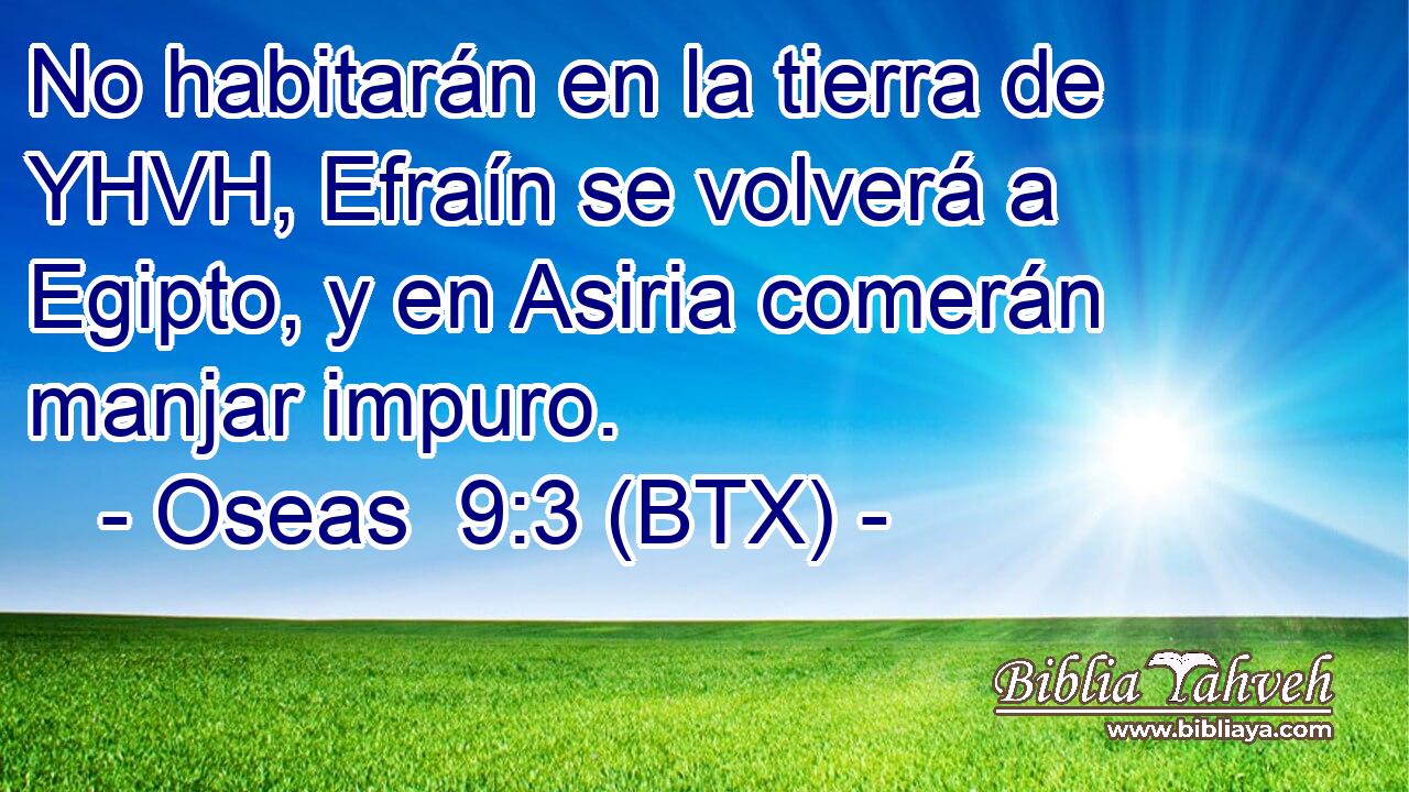No habitarán en la tierra de YHVH, Efraín se volverá a Egipto, y en Asiria comerán manjar impuro.