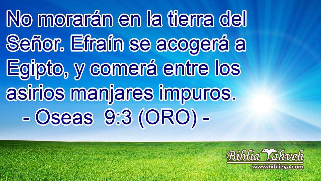  No morarán en la tierra del Señor. Efraín se acogerá a Egipto, y comerá entre los asirios manjares impuros. 