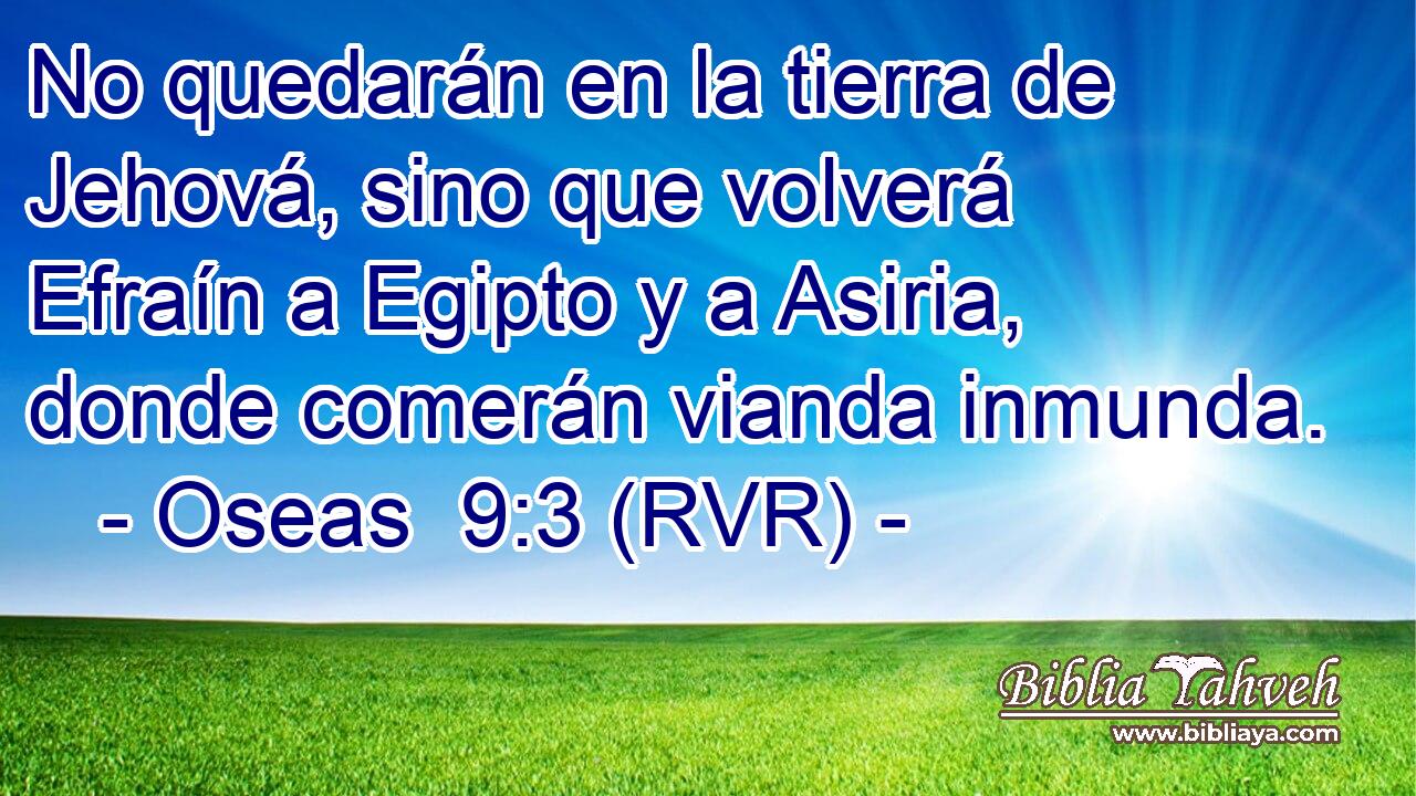 No quedarán en la tierra de Jehová, sino que volverá Efraín a Egipto y a Asiria, donde comerán vianda inmunda.