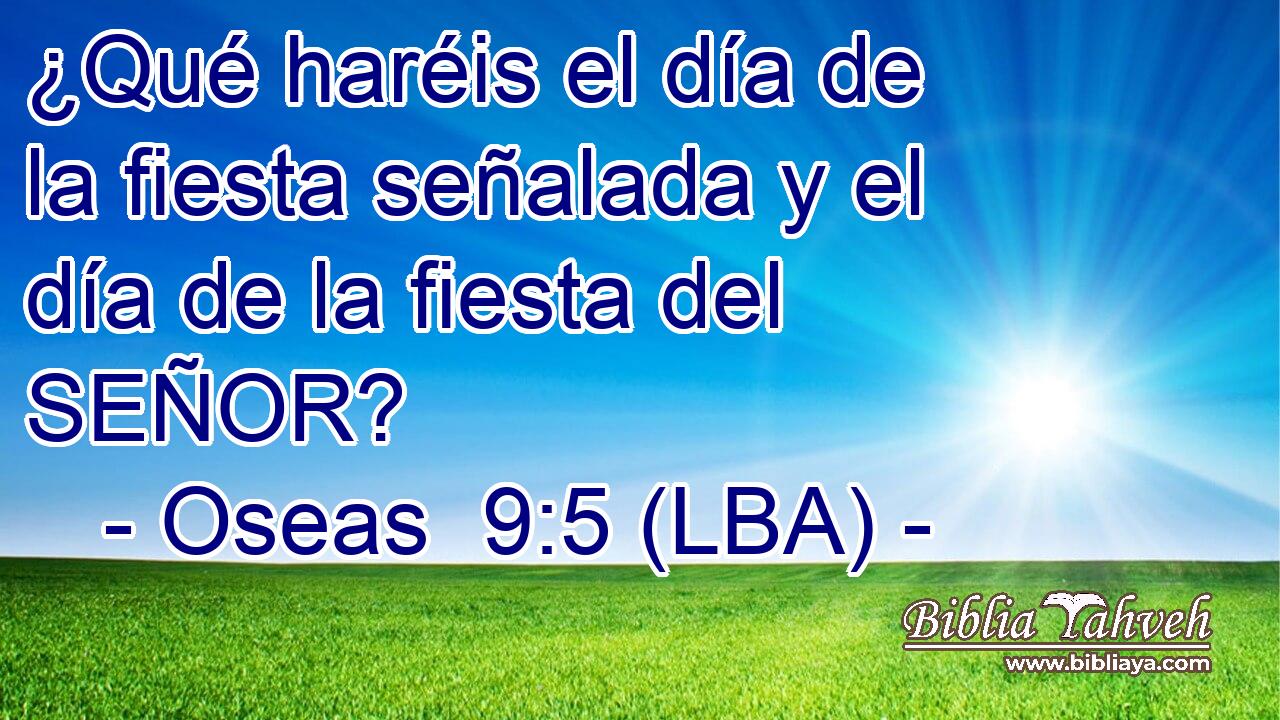 ¿Qué haréis el día de la fiesta señalada y el día de la fiesta del SEÑOR?
