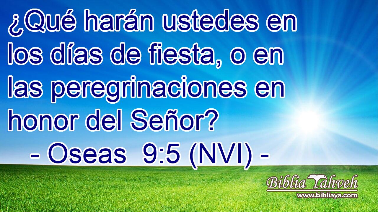  ¿Qué harán ustedes en los días de fiesta, o en las peregrinaciones en honor del Señor? 