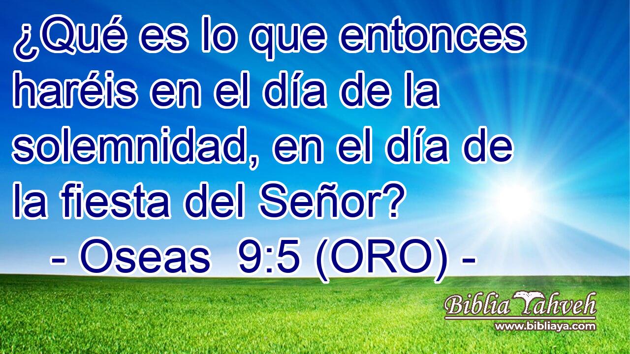  ¿Qué es lo que entonces haréis en el día de la solemnidad, en el día de la fiesta del Señor? 