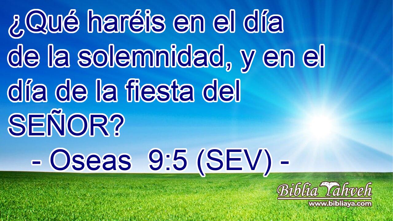 ¿Qué haréis en el día de la solemnidad, y en el día de la fiesta del SEÑOR?