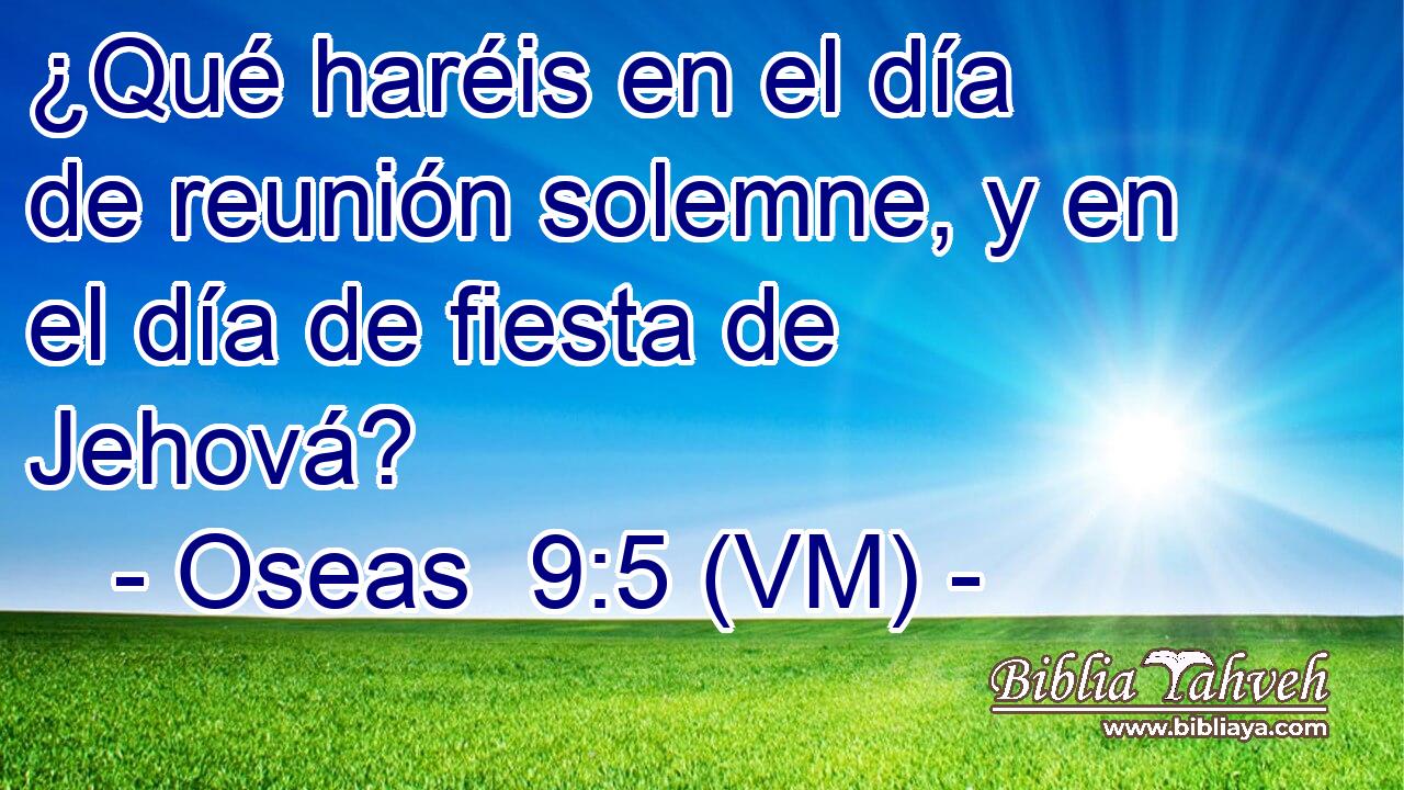  ¿Qué haréis en el día de reunión solemne, y en el día de fiesta de Jehová? 